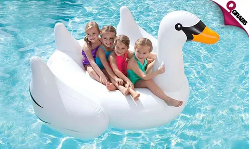 Inflatable Giant Swan Float!